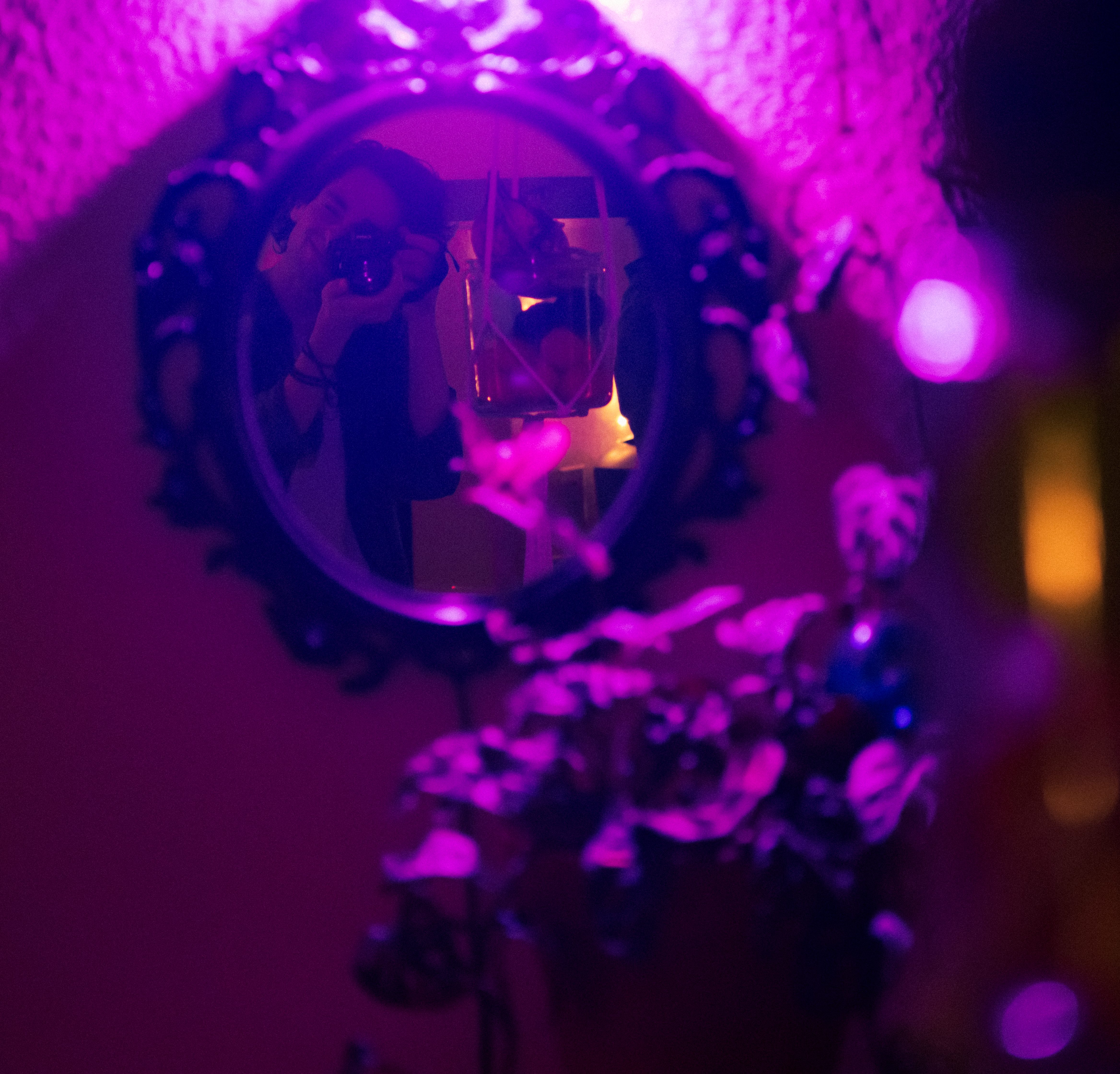 Use Your Imaginasean